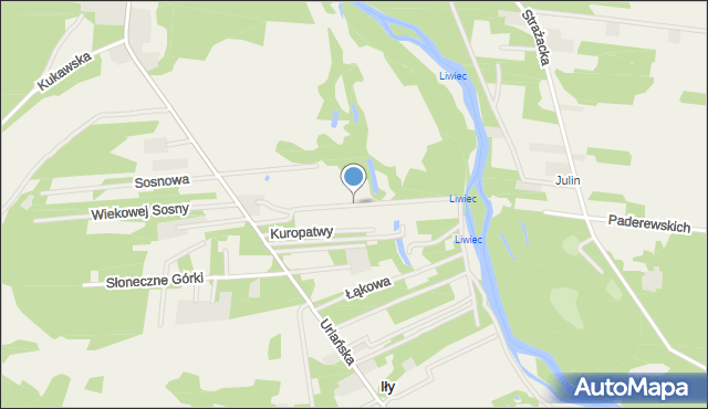 Strachów gmina Jadów, Bociana, mapa Strachów gmina Jadów