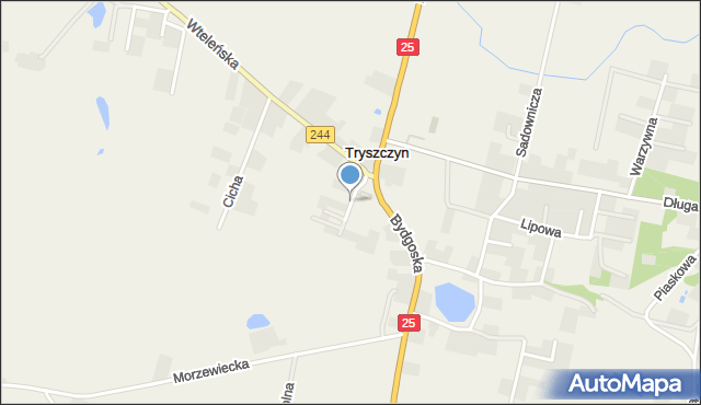 Tryszczyn, Boczna, mapa Tryszczyn