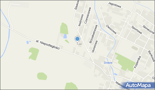 Żórawina, Borówkowa, mapa Żórawina