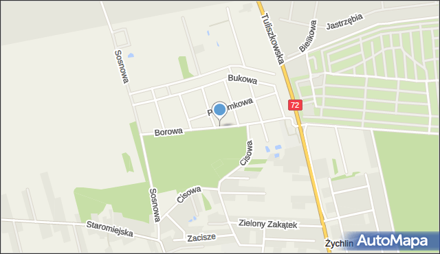 Żychlin gmina Stare Miasto, Borowa, mapa Żychlin gmina Stare Miasto