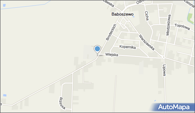 Baboszewo, Brodeckich Jana i Antoniego, mapa Baboszewo