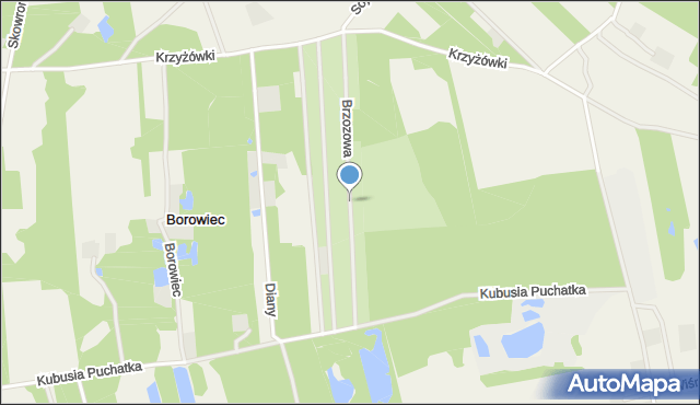 Borowiec gmina Tarczyn, Brzozowa, mapa Borowiec gmina Tarczyn