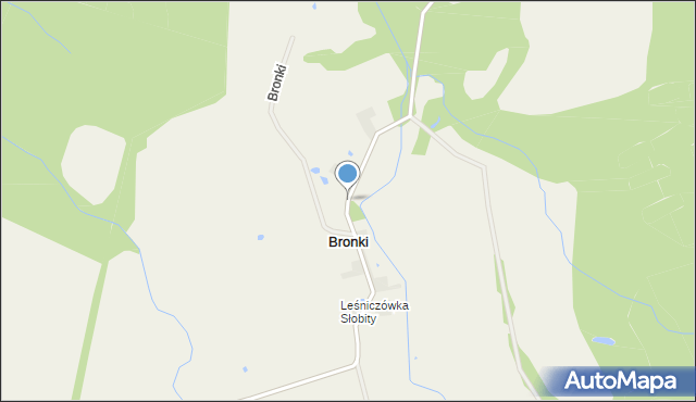 Bronki, Bronki, mapa Bronki