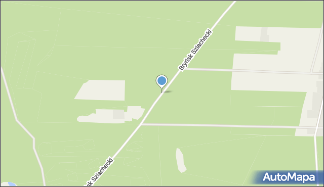 Bryńsk Szlachecki, Bryńsk Szlachecki, mapa Bryńsk Szlachecki
