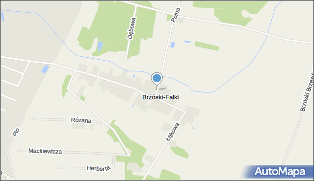 Brzóski-Falki, Brzóski-Falki, mapa Brzóski-Falki
