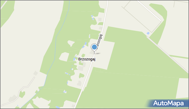 Brzozogaj gmina Ostrowite, Brzozogaj, mapa Brzozogaj gmina Ostrowite