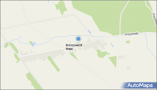 Brzozowica Mała, Brzozowica Mała, mapa Brzozowica Mała
