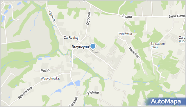 Brzyczyna, Brzyczyna, mapa Brzyczyna