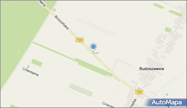 Budziszewice powiat tomaszowski, Brzezińska, mapa Budziszewice powiat tomaszowski