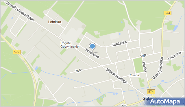 Gąbin powiat płocki, Brzozowa, mapa Gąbin powiat płocki