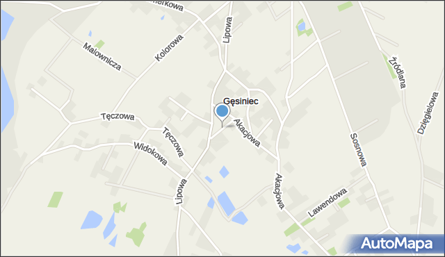 Gęsiniec, Brzozowa, mapa Gęsiniec