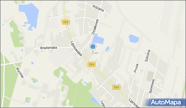 Maszewo Duże, Broniewskiego Władysława, mapa Maszewo Duże