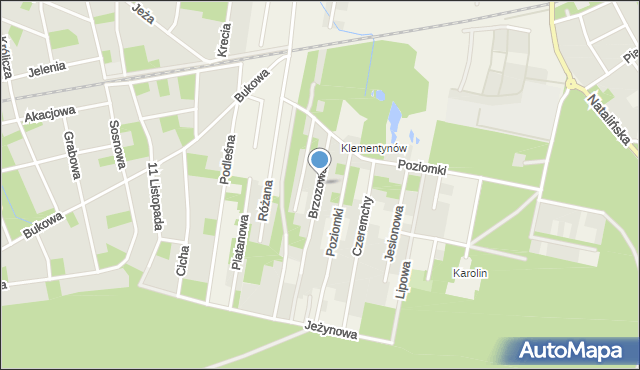 Otrębusy, Brzozowa, mapa Otrębusy