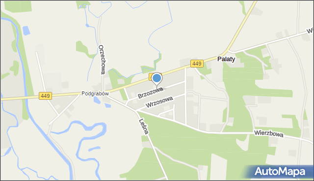 Palaty, Brzozowa, mapa Palaty