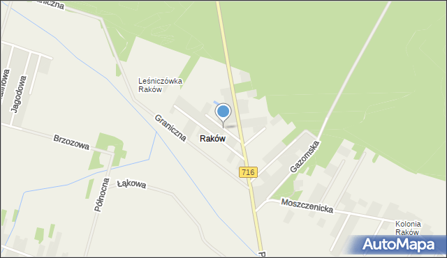 Raków gmina Moszczenica, Brzozowa, mapa Raków gmina Moszczenica