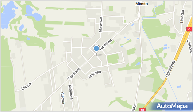 Stare Miasto powiat koniński, Brzozowa, mapa Stare Miasto powiat koniński