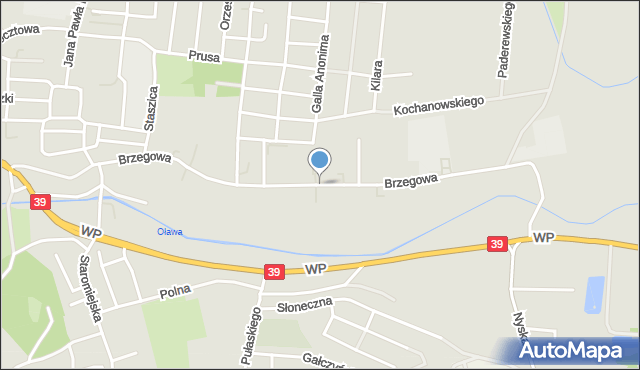 Strzelin, Brzegowa, mapa Strzelin