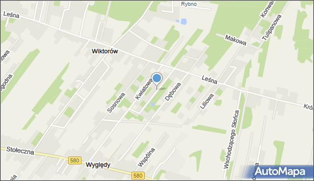 Wyględy, Brzozowy Lasek, mapa Wyględy
