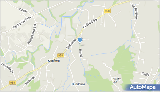 Zakopane, Brzegi Wojciecha, mapa Zakopanego