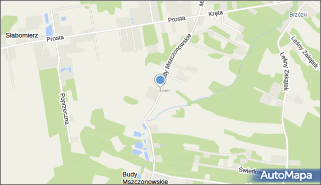 Budy Mszczonowskie, Budy Mszczonowskie, mapa Budy Mszczonowskie
