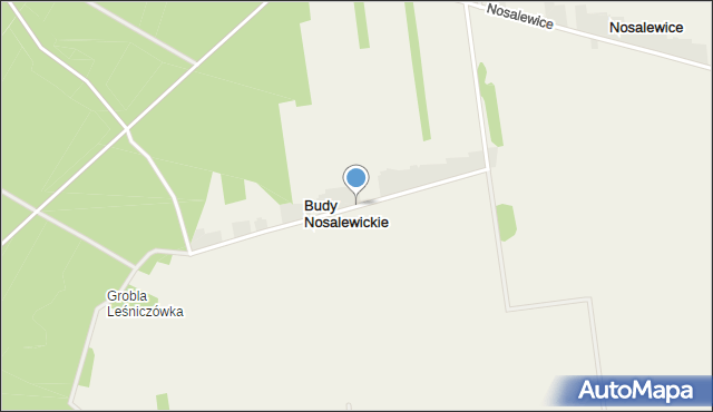 Budy Nosalewickie, Budy Nosalewickie, mapa Budy Nosalewickie