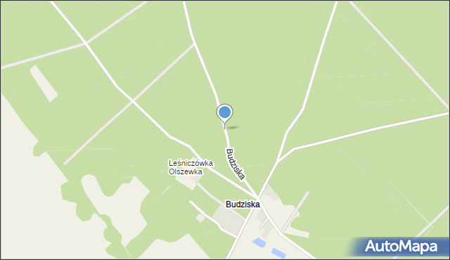 Budziska gmina Jednorożec, Budziska, mapa Budziska gmina Jednorożec