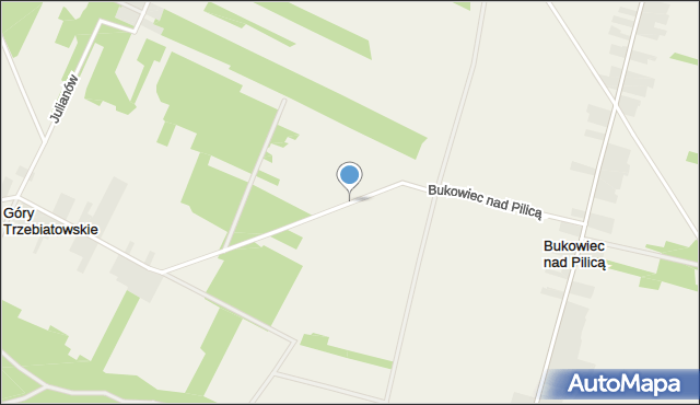 Bukowiec nad Pilicą, Bukowiec nad Pilicą, mapa Bukowiec nad Pilicą