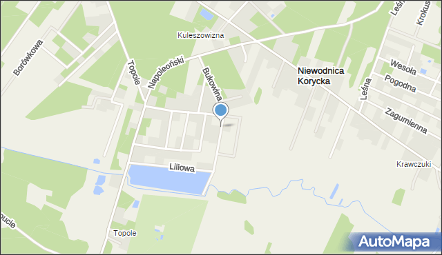 Niewodnica Kościelna, Bukowina, mapa Niewodnica Kościelna