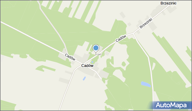 Cadów, Cadów, mapa Cadów