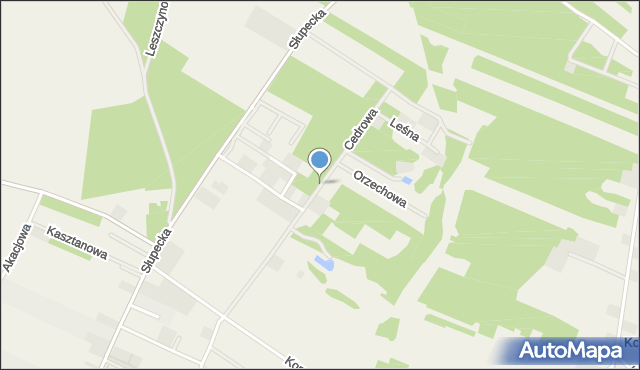 Piotrowice gmina Słupca, Cedrowa, mapa Piotrowice gmina Słupca