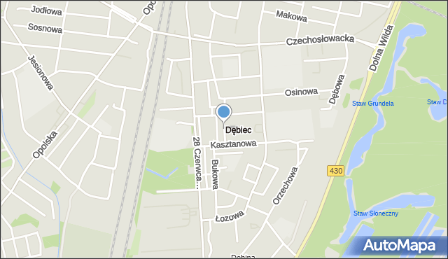 Poznań, Cedrowa, mapa Poznania