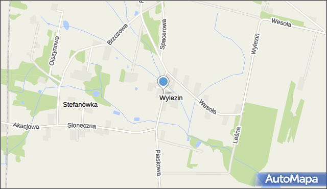 Wylezin gmina Tarczyn, Centralna, mapa Wylezin gmina Tarczyn