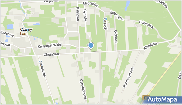 Czarny Las gmina Grodzisk Mazowiecki, Choinowa, mapa Czarny Las gmina Grodzisk Mazowiecki