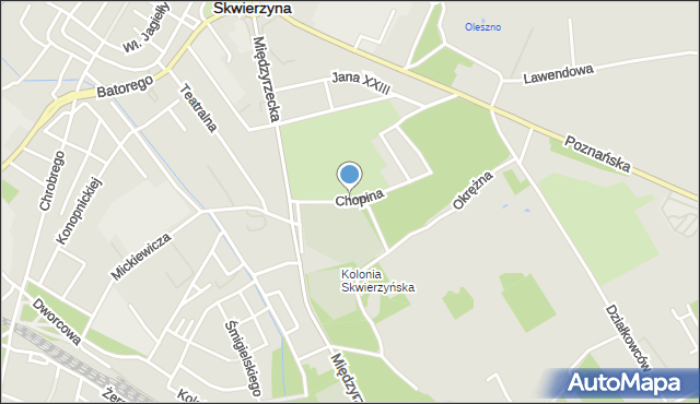 Skwierzyna, Chopina Fryderyka, mapa Skwierzyna