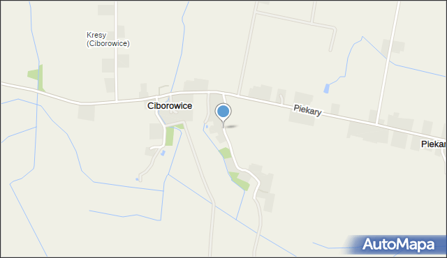Ciborowice, Ciborowice, mapa Ciborowice