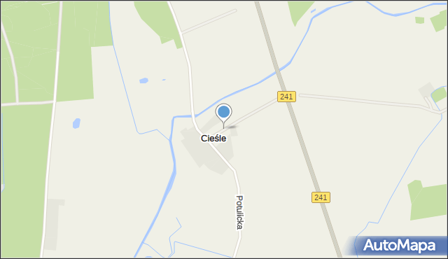 Cieśle gmina Rogoźno, Cieśle, mapa Cieśle gmina Rogoźno