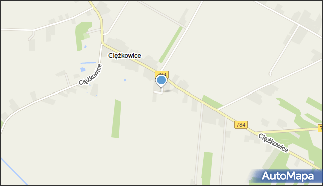 Ciężkowice gmina Gidle, Ciężkowice, mapa Ciężkowice gmina Gidle