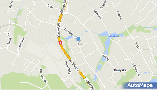 Czechowice-Dziedzice, Cienista, mapa Czechowic-Dziedzic