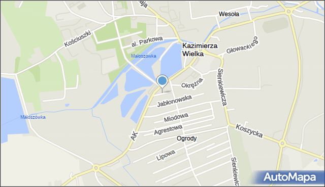 Kazimierza Wielka, Cicha, mapa Kazimierza Wielka