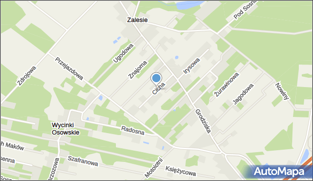 Zalesie gmina Żabia Wola, Cicha, mapa Zalesie gmina Żabia Wola