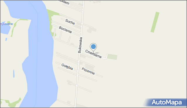 Strykowo, Cmentarna, mapa Strykowo