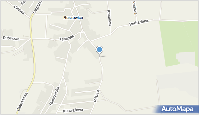 Ruszowice gmina Głogów, Cytrynowa, mapa Ruszowice gmina Głogów
