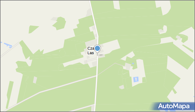 Czarny Las gmina Buczek, Czarny Las, mapa Czarny Las gmina Buczek