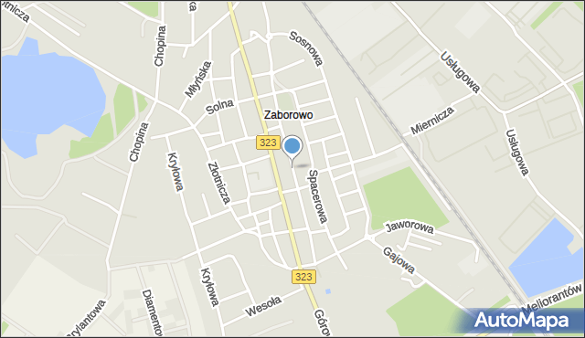 Leszno, Czarnoleska, mapa Leszno