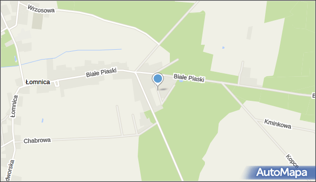 Łomnica gmina Zbąszyń, Czeremchowa, mapa Łomnica gmina Zbąszyń