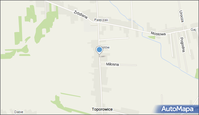 Toporowice, Czerwonego Zagłębia, mapa Toporowice
