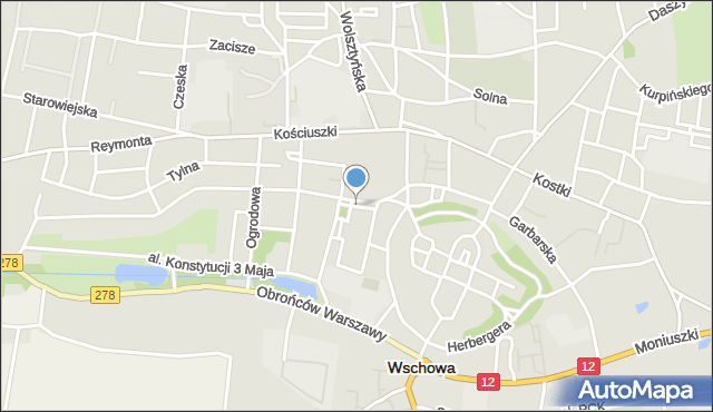 Wschowa, Czarna, mapa Wschowa