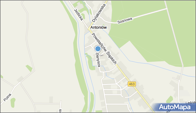 Antoniów gmina Ozimek, Danysza, mapa Antoniów gmina Ozimek