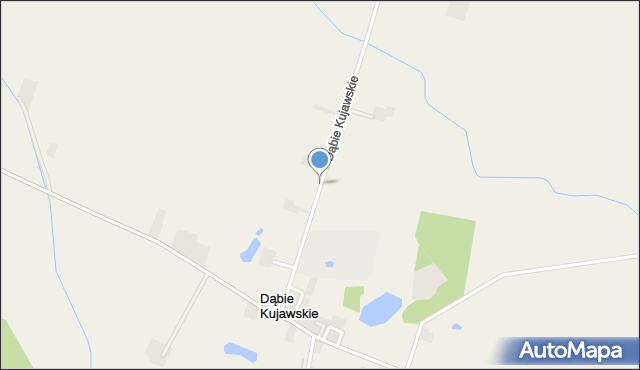 Dąbie Kujawskie, Dąbie Kujawskie, mapa Dąbie Kujawskie