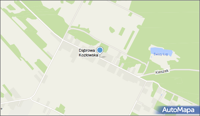 Dąbrowa Kozłowska, Dąbrowa Kozłowska, mapa Dąbrowa Kozłowska